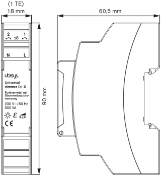 Measurement D1-R